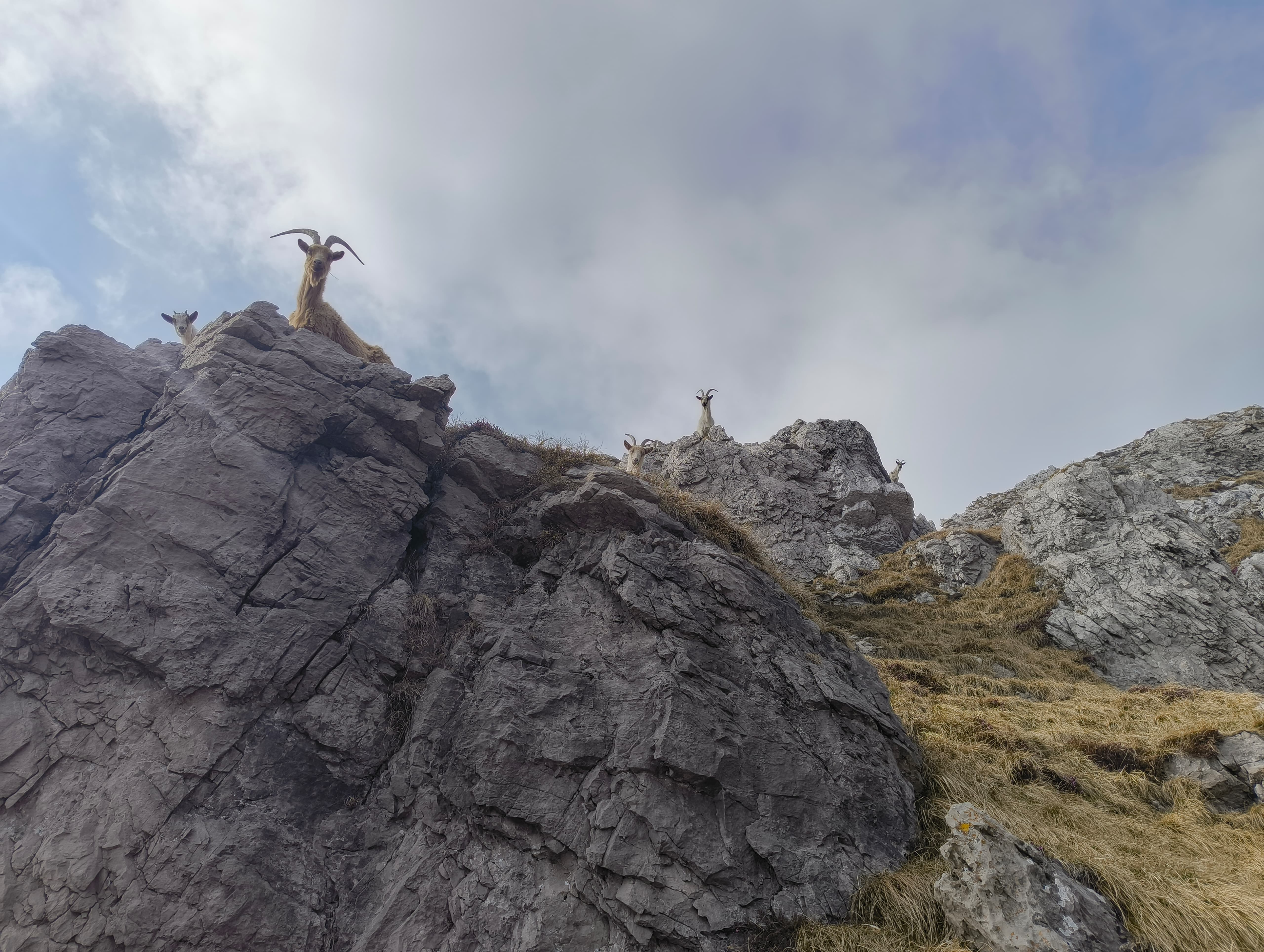 Foto n° 10 del trekking Resegone │ Gamma 1